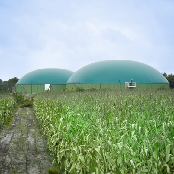 Biogas production site6 漏 Virginie de la Hija